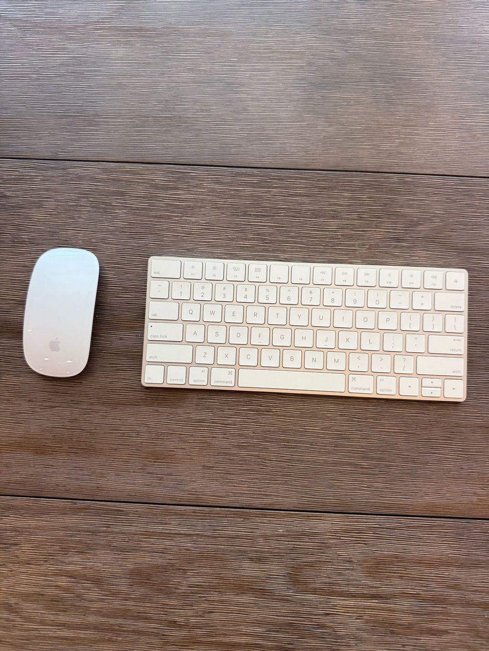 Apple Magic Wireless Mouse and Keyboard